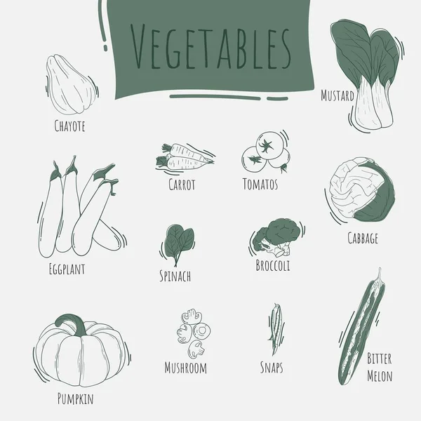 Vegetables Name Line Art Design — Stock Vector