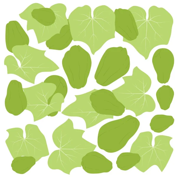Chayote Stampa Sfondo Modello Disegno Verde — Vettoriale Stock