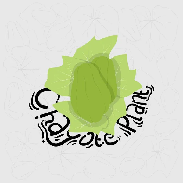 Zielony Chayote Roślina Wektor Ilustracja Ręcznie Rysowane Projekt Tekstu — Wektor stockowy