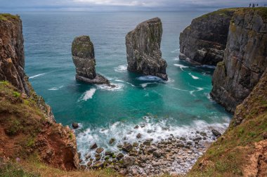 Elegug Stacks, Pembrokeshire, south Wales. The stacks are a unique geological formation that can be seem from the Wales coastal path. clipart