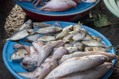 Küçük, gümüş bir balık tabakta, Vietnam pazarında satılıyor..