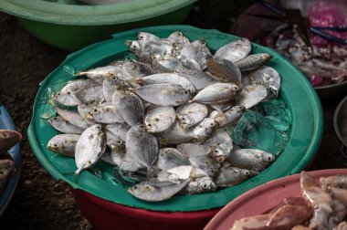Küçük, gümüş bir balık tabakta, Vietnam pazarında satılıyor..