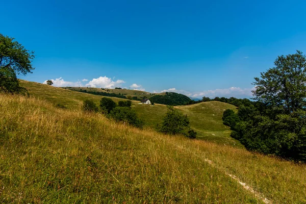 Hügellandschaft Mit Blauem Himmel Und Grünen Weiden Mit Bauernhof Der — Stockfoto