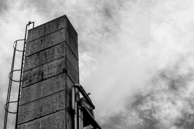 Çelik borular ve beton kolonlar arasında güvercin olan terk edilmiş sanayi binası.