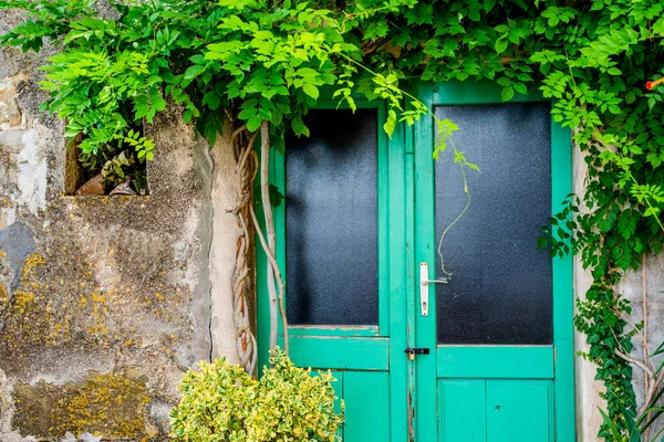 Porta Verde Com Vidro Fosco Preto Hera Queda Uma Antiga — Fotografia de Stock