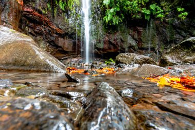 Rabacal 'daki Risco şelalesi 100 metre yüksekliğinde ve Madeira Portekiz' de küçük bitkiler ve küçük bir doğal havuz ile kaplı kayalar bulunuyor.