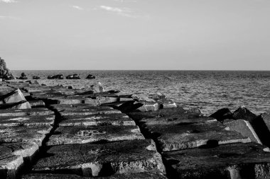 concrete block breakwater barrier with Seagull black and white photography with ocean and bay in Madeira Portugal