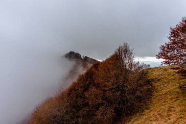 Ağaçlı alp tepeleri yeşilden sarıya, turuncuya, bulutlar ve Lessini Parkı 'ndaki Durlo tepelerini saran anlamlı sis ile Lessini Parkı' ndaki Vicenza.
