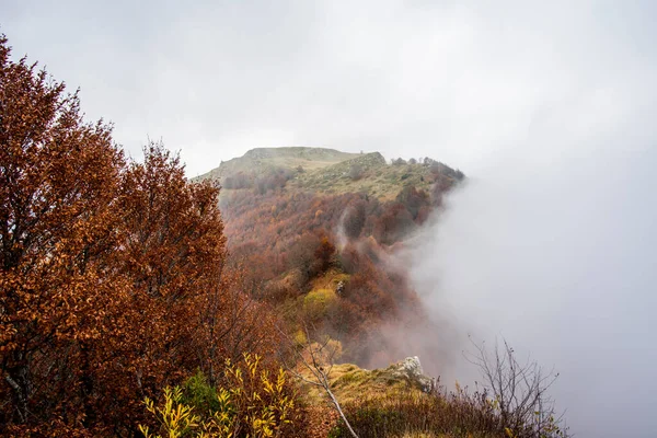 高山山峰与森林的差异从绿色到黄色再到橙色 云彩和暗示的雾笼罩着小金尼公园维琴察的达洛高山山峰 — 图库照片