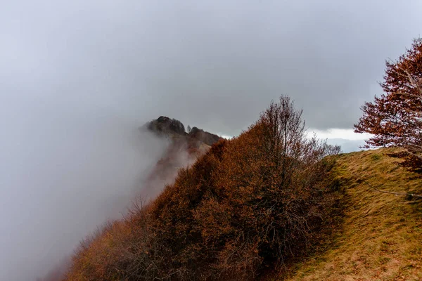 高山山峰与森林的差异从绿色到黄色再到橙色 云彩和暗示的雾笼罩着小金尼公园维琴察的达洛高山山峰 — 图库照片