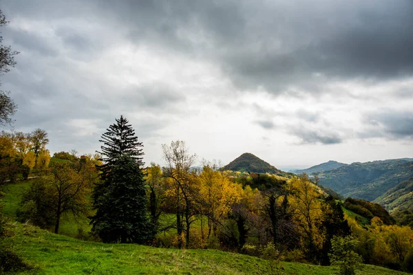 Valle Alpino Con Bosques Variados Verde Amarillo Naranja Con Nubes —  Fotos de Stock