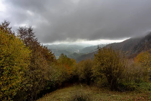 Vallée Alpine Avec Des Bois Panachés Vert Jaune Orange Avec — Photo