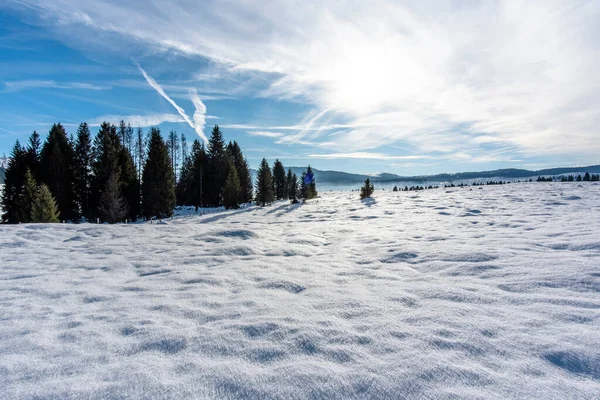 Arka planda mavi gökyüzü olan karlı bir manzara Asiago platosunun zirveleri ve Marcesina di Marcesina 'nın ormanları ile Marcesina Enego Vicenza Veneto İtalya' da küçük dağ kulübeleri.