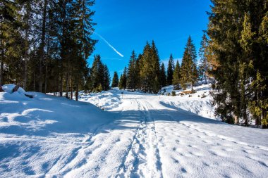 Arka planda mavi gökyüzü olan karlı bir yol Asiago platosunun zirveleri ve Marcesina di Marcesina 'nın ormanları ile Marcesina Enego Enego Vicenza Veneto İtalya' daki küçük dağ kulübeleri.