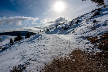 Piana di Marcesina 'daki karlı yolda mavi gökyüzü ve Asya' nın zirveleri çam ağaçları ve Enego Vicenza İtalya 'daki dağ kulübeleri ile birlikte.