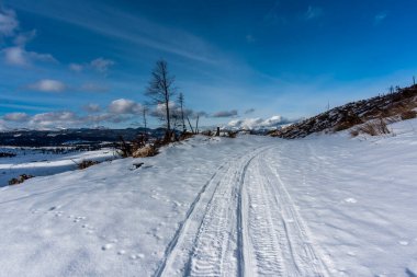 Piana di Marcesina 'daki karlı yolda mavi gökyüzü ve Asya' nın zirveleri çam ağaçları ve Enego Vicenza İtalya 'daki dağ kulübeleri ile birlikte.