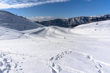 Karlı ve karlı patikalı alp panorama. Karda ayak izleri ve İtalya 'nın Vicenza Veneto ili Campo Fontana nei Lessini' de yemyeşil çam ağaçları.