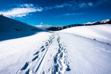 Karlı ve karlı patikalı alp panorama. Karda ayak izleri ve İtalya 'nın Vicenza Veneto ili Campo Fontana nei Lessini' de yemyeşil çam ağaçları.