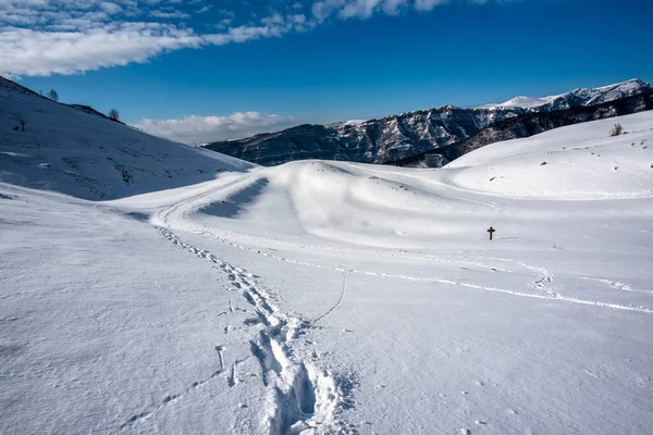 눈덮인 지대의 파노라마와 이탈리아 폰타나 노이에 상록수 소나무 발자국 — 스톡 사진