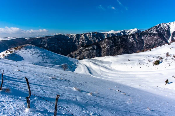 雪と雪のパスと高山パノラマビチェンツァヴェネト州カンポ フォンタナ ニーレッシーニの雪と常緑松の森の足跡イタリア — ストック写真