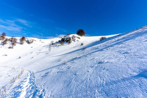 Panorama Alpino Com Neve Caminhos Nevados Com Pegadas Neve Pinheiros — Fotografia de Stock