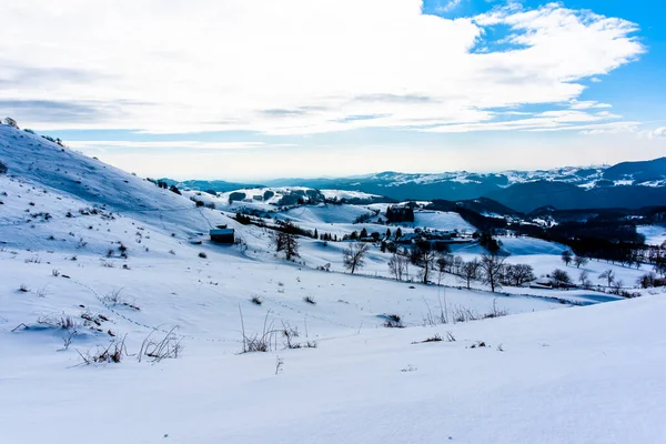 Alpine Panorama Met Sneeuw Besneeuwde Paden Met Voetafdrukken Sneeuw Groenblijvende — Stockfoto