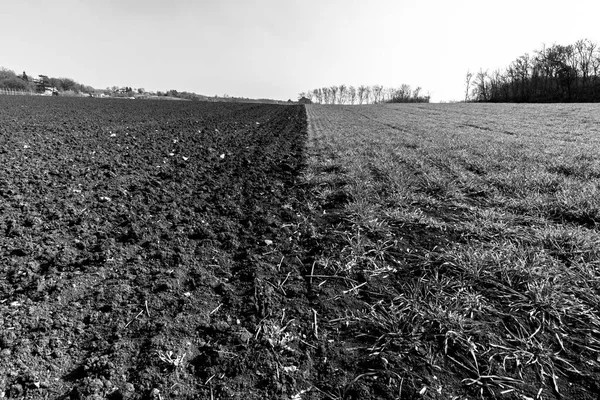 Photograph Freshly Plowed Field Cultivated Field Perfectly Divided Half Perspective — Stock Photo, Image