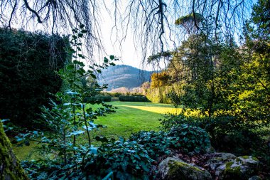 Valsanzibio Padova Venedik 'teki gizli bir bahçe gibi çitler ve büyük ağaçlar arasında sarılı güneşli yeşil çimenler.