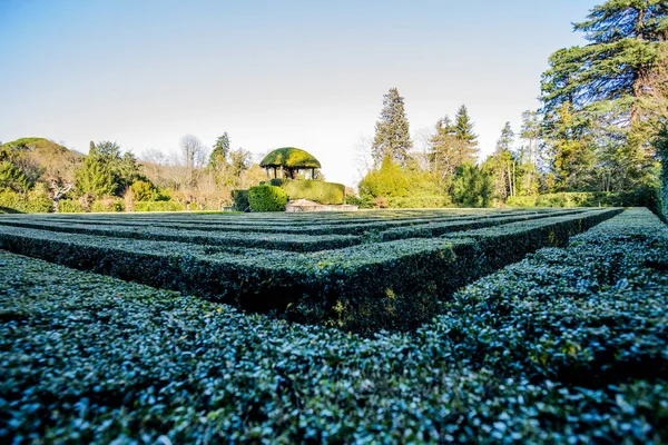 Labirent ustalıkla işlenmiş ve oyulmuş boxwood bitkisiyle yapıldı.