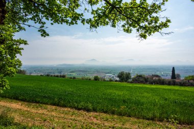 Sossano Vicenza Veneto İtalya 'nın arka planında tarlaya sürülmüş ve ekilmiş tarlaları ve tepeleri olan kırsal tarım arazisi