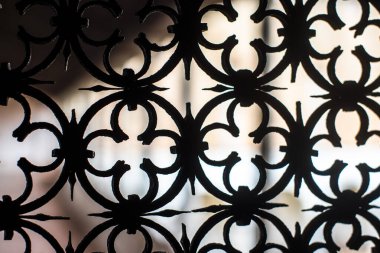 Treviso Veneto İtalya 'da daire ve güllerle işlenmiş demir ızgara ve siyah kapı.