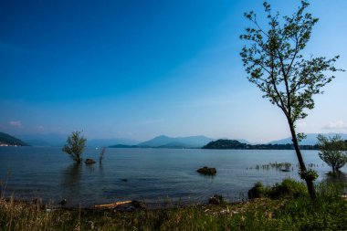 Lombard kıyılarından Maggiore Gölü 'nün panoramik manzarası. Ağaçlar ve Maggiore Gölü' nde balıkçı tekneleri olan büyüleyici küçük limanlar. Varese Lombardy İtalya 'da.