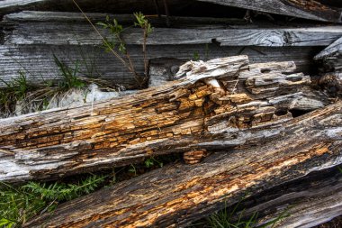 Malcesine 'deki Monte Baldo' da, Garda Verona Veneto Gölü 'ndeki eski ahşap sandıkların kapatılması İtalya' ya zarar verdi.
