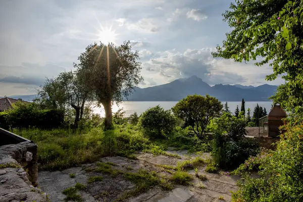 Garda Gölü 'nde gün batımı palmiye ağaçları ve bahçeleri ile Verona Veneto İtalya