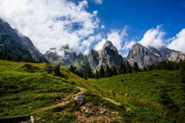 Dolomite 'lar, beyaz bulutlar ormanları ve otlayan otlaklarla kaplı dağ manzarası Feltre Belluno Veneto İtalya yakınlarındaki Gosaldo' da kayalık duvarları ve yaylaları olan Belluno Alpleri manzarası