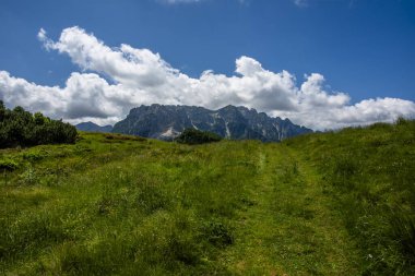 İtalya 'daki Recoaro Alpleri Vicenza Veneto Veneto' daki küçük Vicenza Dolomitlerinin kayalar ve çayır çayırları, çam ormanları ve kulübelerinin manzarası.