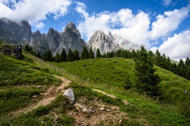 Dolomite 'lar, beyaz bulutlar ormanları ve otlayan otlaklarla kaplı dağ manzarası Feltre Belluno Veneto İtalya yakınlarındaki Gosaldo' da kayalık duvarları ve yaylaları olan Belluno Alpleri manzarası