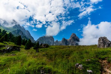 Dolomite 'lar, beyaz bulutlar ormanları ve otlayan otlaklarla kaplı dağ manzarası Feltre Belluno Veneto İtalya yakınlarındaki Gosaldo' da kayalık duvarları ve yaylaları olan Belluno Alpleri manzarası