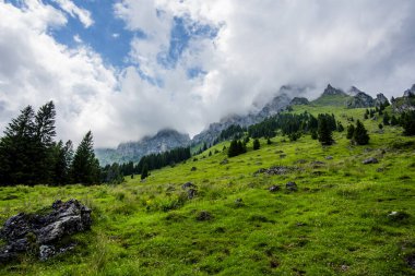 Dolomite 'lar, beyaz bulutlar ormanları ve otlayan otlaklarla kaplı dağ manzarası Feltre Belluno Veneto İtalya yakınlarındaki Gosaldo' da kayalık duvarları ve yaylaları olan Belluno Alpleri manzarası