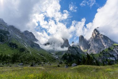 Dolomite 'lar, beyaz bulutlar ormanları ve otlayan otlaklarla kaplı dağ manzarası Feltre Belluno Veneto İtalya yakınlarındaki Gosaldo' da kayalık duvarları ve yaylaları olan Belluno Alpleri manzarası