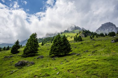 Dolomite 'lar, beyaz bulutlar ormanları ve otlayan otlaklarla kaplı dağ manzarası Feltre Belluno Veneto İtalya yakınlarındaki Gosaldo' da kayalık duvarları ve yaylaları olan Belluno Alpleri manzarası