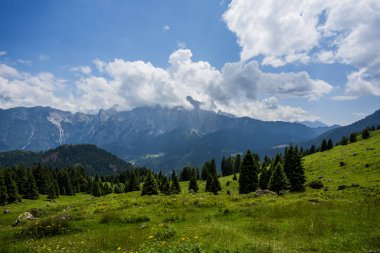 Dolomite 'lar, beyaz bulutlar ormanları ve otlayan otlaklarla kaplı dağ manzarası Feltre Belluno Veneto İtalya yakınlarındaki Gosaldo' da kayalık duvarları ve yaylaları olan Belluno Alpleri manzarası