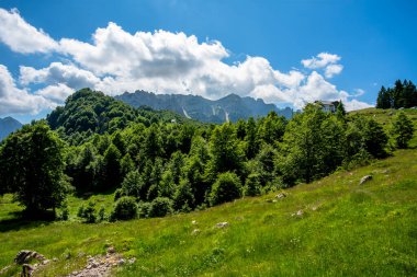 İtalya 'daki Recoaro Alpleri Vicenza Veneto Veneto' daki küçük Vicenza Dolomitlerinin kayalar ve çayır çayırları, çam ormanları ve kulübelerinin manzarası.