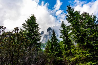 Dolomite 'lar, beyaz bulutlar ormanları ve otlayan otlaklarla kaplı dağ manzarası Feltre Belluno Veneto İtalya yakınlarındaki Gosaldo' da kayalık duvarları ve yaylaları olan Belluno Alpleri manzarası