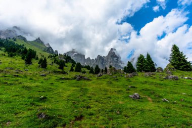 Dolomite 'lar, beyaz bulutlar ormanları ve otlayan otlaklarla kaplı dağ manzarası Feltre Belluno Veneto İtalya yakınlarındaki Gosaldo' da kayalık duvarları ve yaylaları olan Belluno Alpleri manzarası