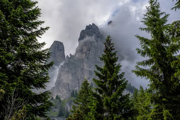 Dolomite Lar Beyaz Bulutlar Ormanları Otlayan Otlaklarla Kaplı Dağ Manzarası — Stok fotoğraf