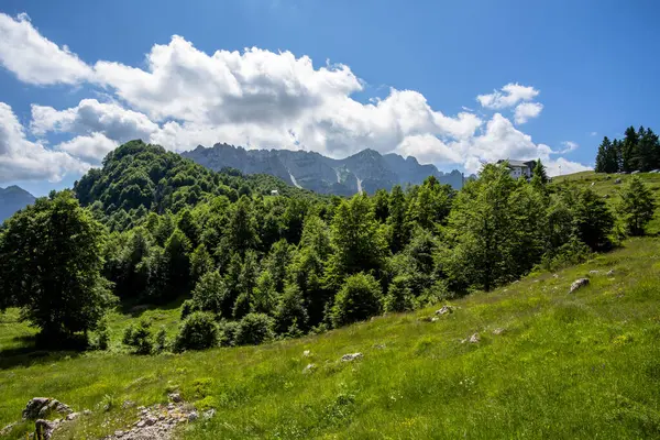 意大利维贾罗阿尔卑斯维贾斯湾的小白云石 松树林和茅屋的山水景观 免版税图库图片