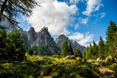 Dolomite dağları ve Alpler yeşil çayırlar ve orman ve alp çayırları arasındaki kaya örümcekleri Belluno Dolomites Vicenza Veneto İtalya 'daki Gossaldo Belluno' da bir dağ kulübesinde.