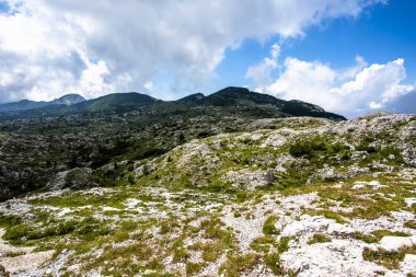 Ortigara Dağı 'nın mavi gökyüzü ve Asiago Veneto İtalya platosundaki Birinci Dünya Savaşı tahkimatlarıyla yaz manzarası.
