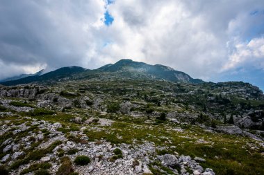 Ortigara Dağı 'nın mavi gökyüzü ve Asiago Veneto İtalya platosundaki Birinci Dünya Savaşı tahkimatlarıyla yaz manzarası.
